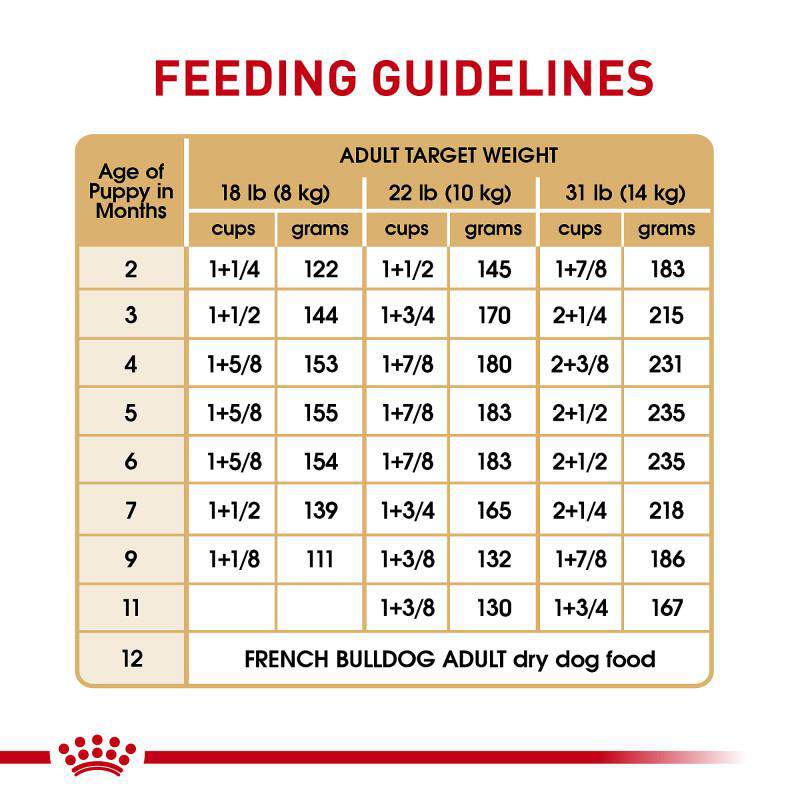 Royal Canin Breed Health Nutrition French Bulldog Puppy Dry Dog Food