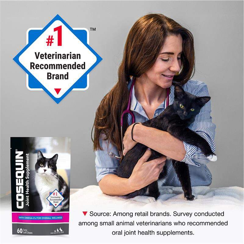 Cosequin Soft Chews for Cats with Omega-3's, 60 ct