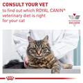 Royal Canin Veterinary Diet Adult Gastrointestinal Dry Cat Food, 8.8 lb bag