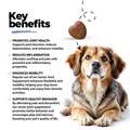 Senior Joint & Muscle Soft Chews for Dogs, 60 ct
