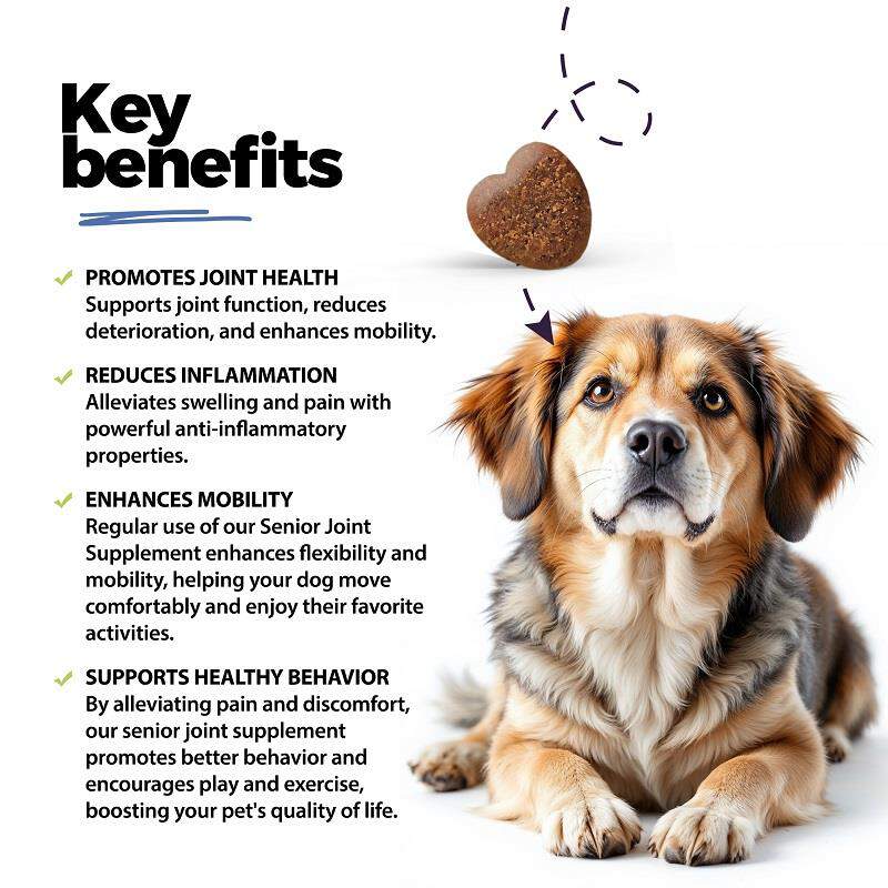 Senior Joint & Muscle Soft Chews for Dogs, 60 ct