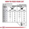 Royal Canin Veterinary Diet Adult Dental Dry Cat Food