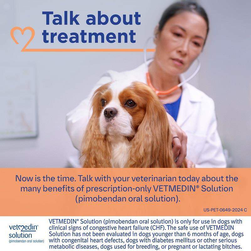 Vetmedin Solution 1.5 mg/ml for Dogs, 50 ml