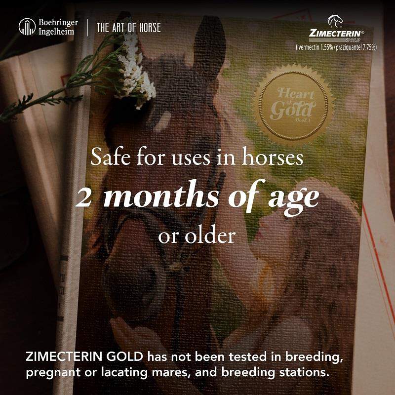 Merial Zimecterin Gold for Horses with Worms, 0.26 ounce