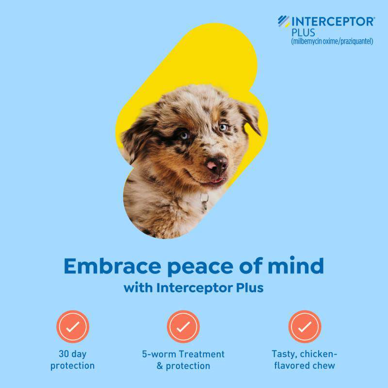 Interceptor Plus Chewable Tablets for Dogs