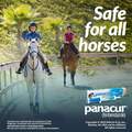 Merck Animal Health Panacur Paste 10% for Horses 100 mg
