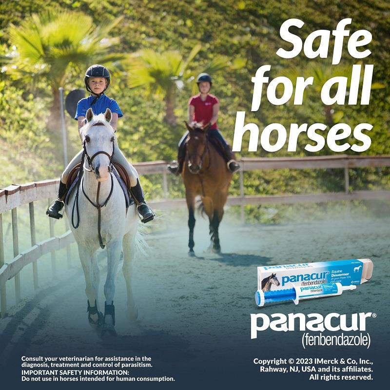 Merck Animal Health Panacur Paste 10% for Horses 100 mg
