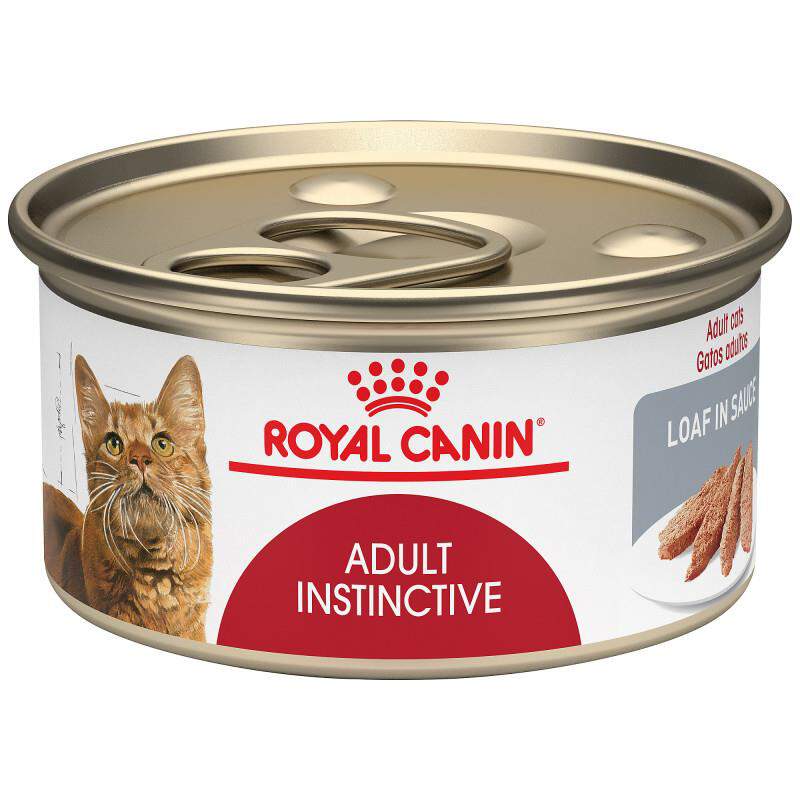 Royal Canin Feline Health Nutrition Adult Instinctive Loaf in Sauce Canned Cat Food, Case of 24