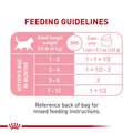 Royal Canin Feline Health Nutrition Kitten Loaf in Sauce Canned Cat Food, Case of 24