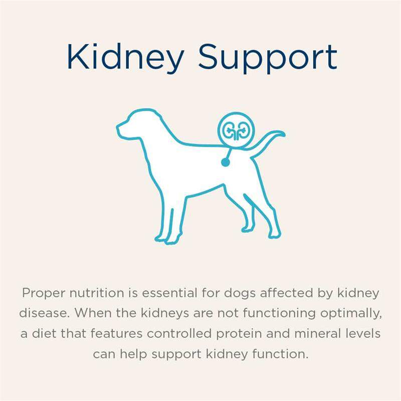 Blue Buffalo Natural Veterinary Diet KS Kidney Support Dog Food