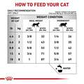Royal Canin Veterinary Diet Adult Ultamino Dry Cat Food, 5.5 lb bag