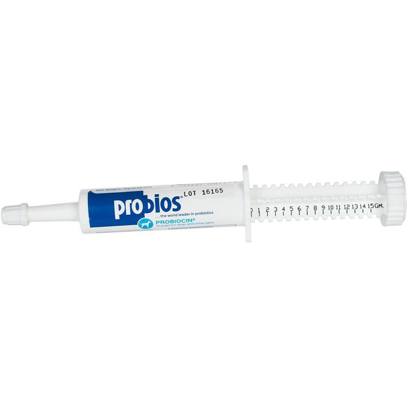 Probios Oral Gel for Pets, 15 gm Syringe