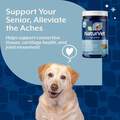NaturVet Senior Advanced Joint Health Supplement Soft Chews for Dogs