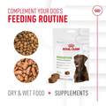 Royal Canin Adult Digestive Chewable Supplements for Dogs, 60 Soft Chews