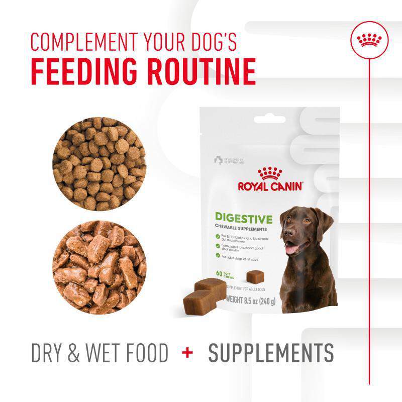 Royal Canin Adult Digestive Chewable Supplements for Dogs, 60 Soft Chews