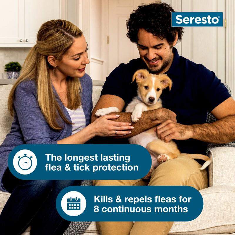 Seresto for Dogs