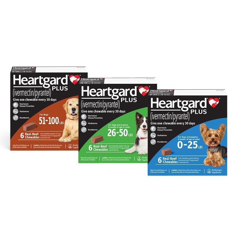 HEARTGARD Plus Chewables for Dogs