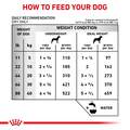Royal Canin Veterinary Diet Adult Early Cardiac Dry Dog Food