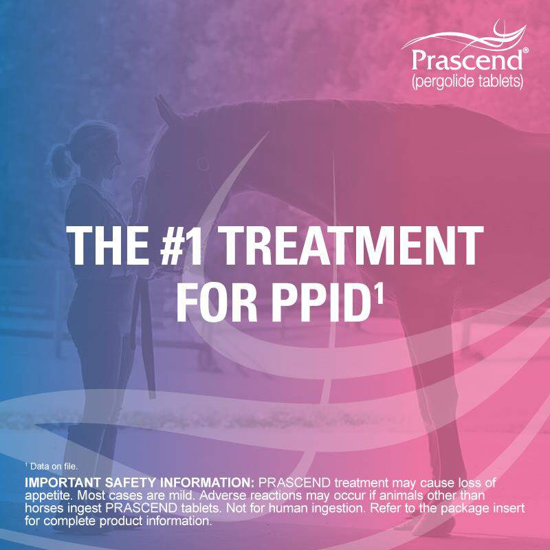 Prascend (pergolide tablets) for Horses 1 mg