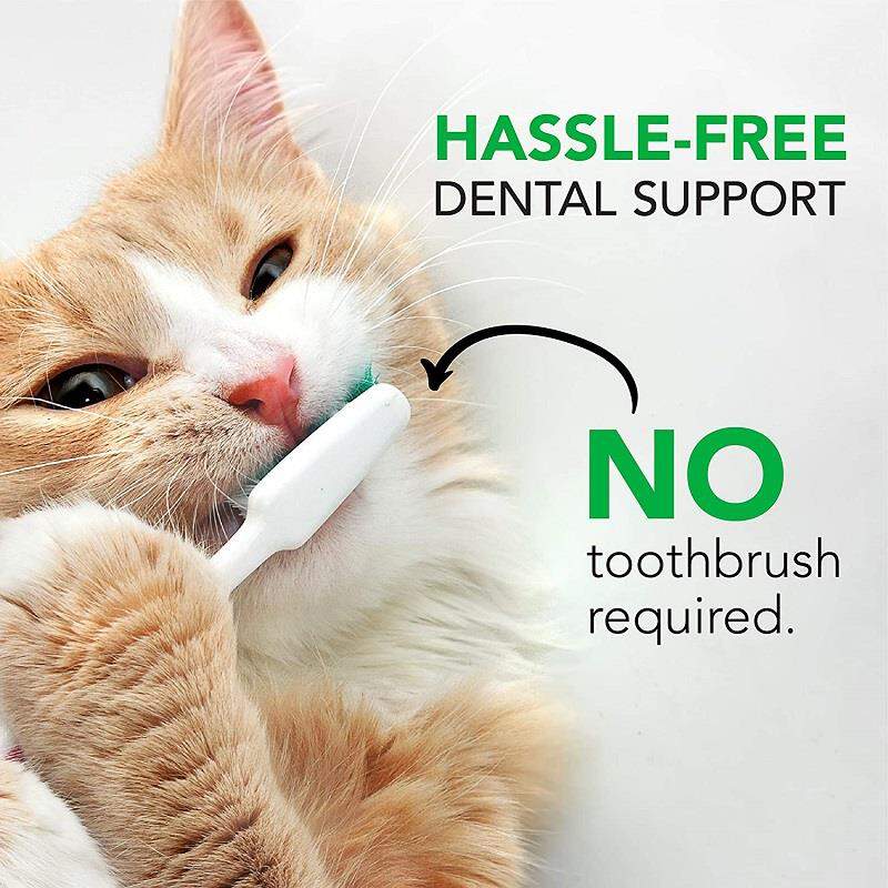 VetriScience Healthy Mouth Bites Perio Plus Feline Bites, 60 ct