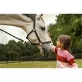 Zoetis Quest Plus Gel for Horses with Worms, 1 syringe, 0.05 ounces