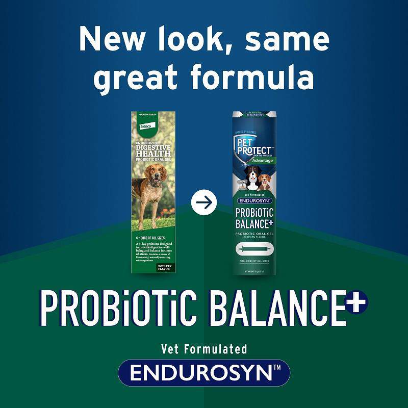 Pet Protect Probiotic Balance + Endurosyn Oral Gel for Dogs, 32 g