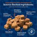 NaturVet Puppy Daily Care All-In-One Supplement with 6-in-1 Support, Hickory Smoked Bacon Flavor, 60 Soft Chews