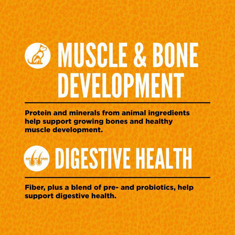 Orijen Biologically Appropriate Grain-Free Chicken, Turkey & Fish Puppy Dry Dog Food, 23.5 lbs