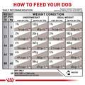 Royal Canin Veterinary Diet Adult Gastrointestinal Low Fat Dry Dog Food