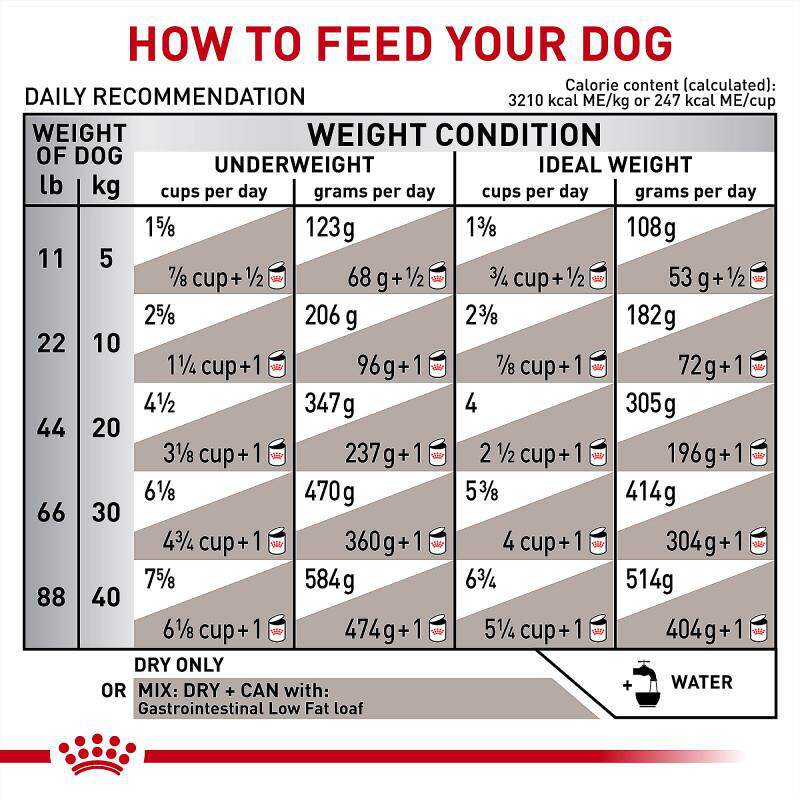 Royal Canin Veterinary Diet Adult Gastrointestinal Low Fat Dry Dog Food