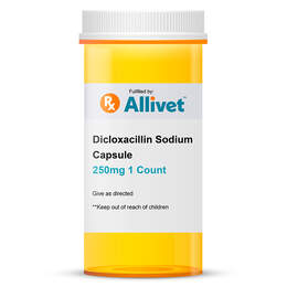 Dicloxacillin Sodium Capsule