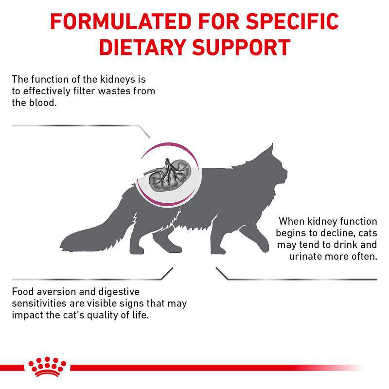 Royal Canin Veterinary Diet Adult Renal Support F Dry Cat Food
