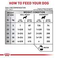 Royal Canin Veterinary Diet Adult Gastrointestinal Moderate Calorie Dry Dog Food, 22 lb bag