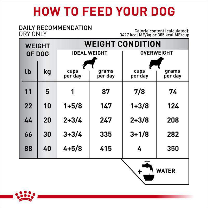 Royal Canin Veterinary Diet Adult Gastrointestinal Moderate Calorie Dry Dog Food, 22 lb bag