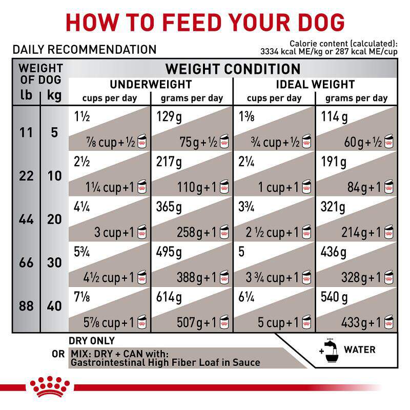 Royal Canin Veterinary Diet Adult Gastrointestinal High Fiber Dry Dog Food