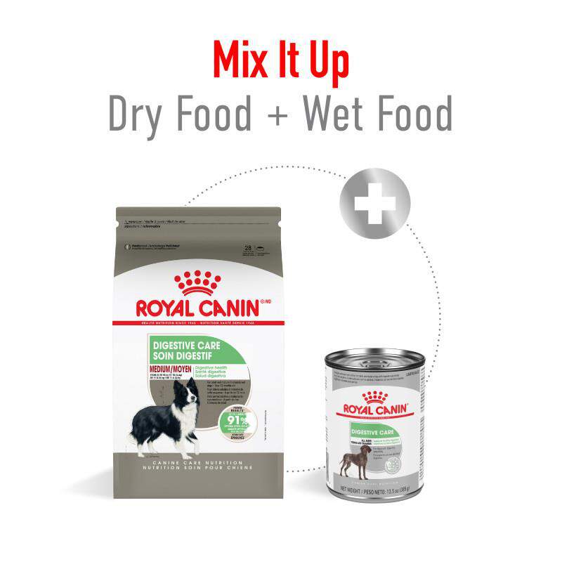 Royal Canin Canine Care Nutrition Adult Medium Digestive Care Dry Dog Food