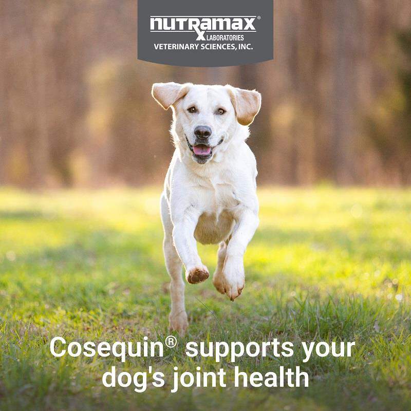 Cosequin Max Strength Joint Supplement for Dogs w/MSM plus Omega-3's
