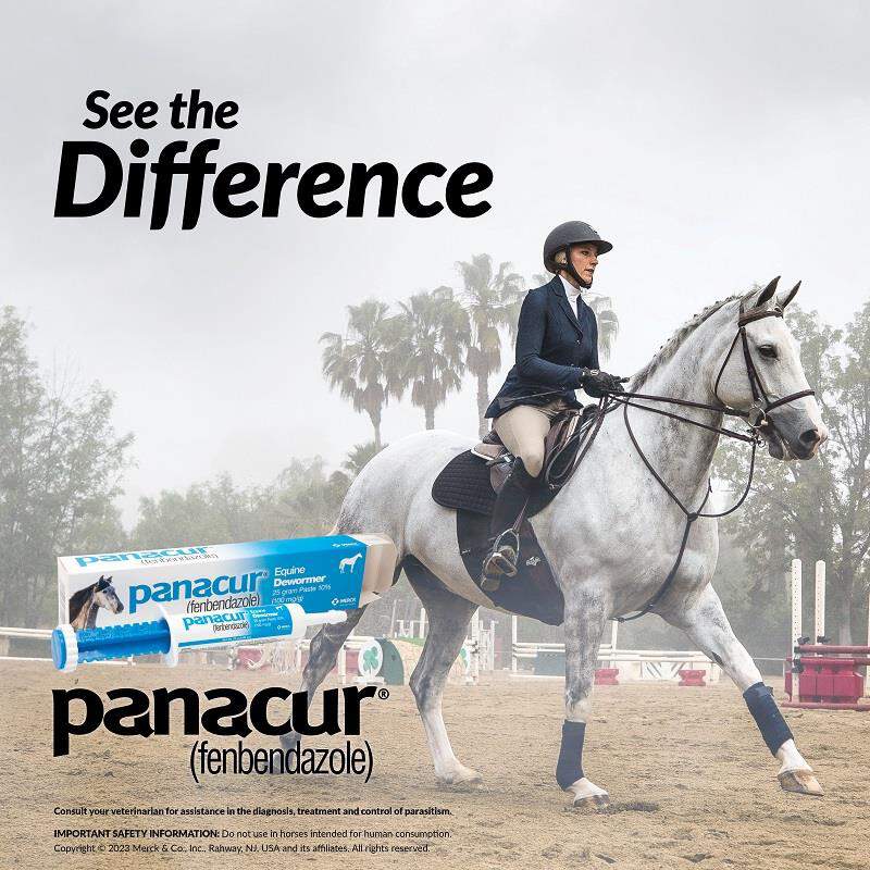 Merck Animal Health Panacur Paste 10% for Horses 100 mg