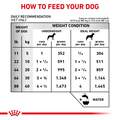 Royal Canin Veterinary Diet Adult Multifunction Renal Support + Advanced Mobility Support Thin Slices in Gravy Canned Dog Food, 24 x 13 oz cans