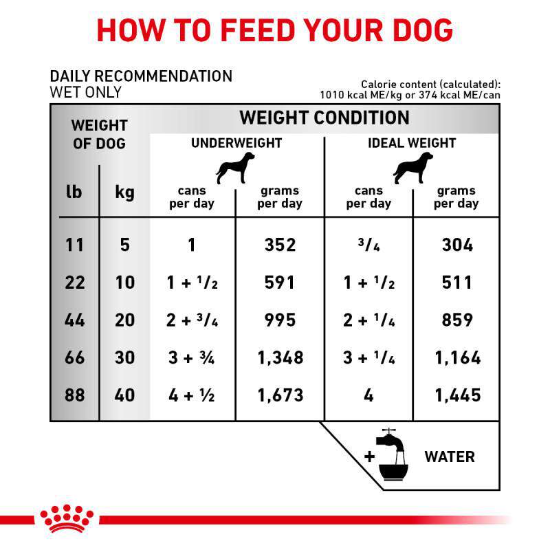 Royal Canin Veterinary Diet Adult Multifunction Renal Support + Advanced Mobility Support Thin Slices in Gravy Canned Dog Food, 24 x 13 oz cans