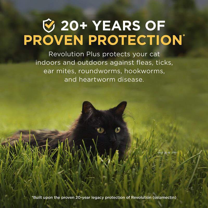 Revolution Plus for Cats