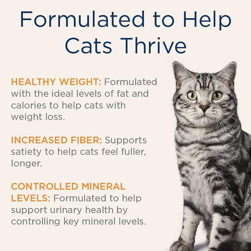 Blue Buffalo Natural Veterinary Diet W+U Weight Management + Urinary Care Cat Food (24 x 5.5 oz) Cans