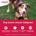 Galliprant Tablets for Dogs
