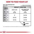 Royal Canin Veterinary Diet Adult Satiety Support Weight Management Thin Slices in Gravy Canned Cat Food, 24 x 3 oz cans