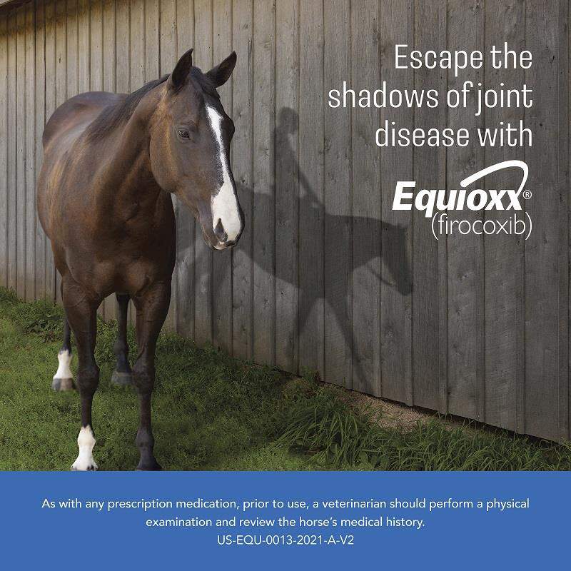 Equioxx, 57 mg Chewable Tablets