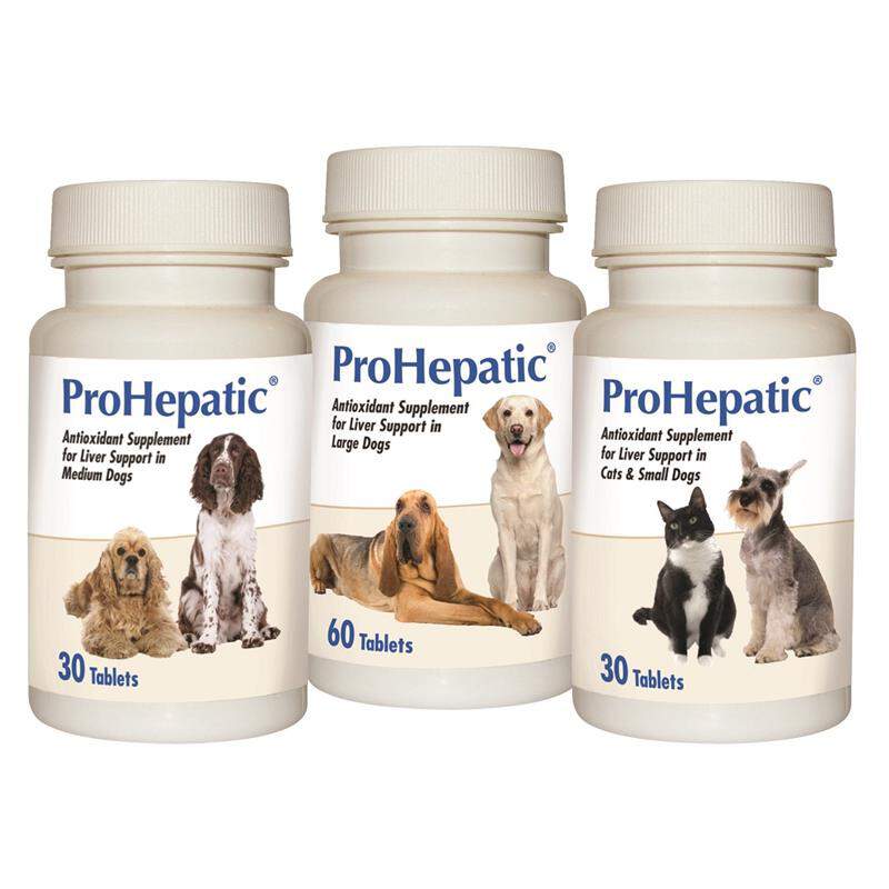 ProHepatic Liver Support Supplement