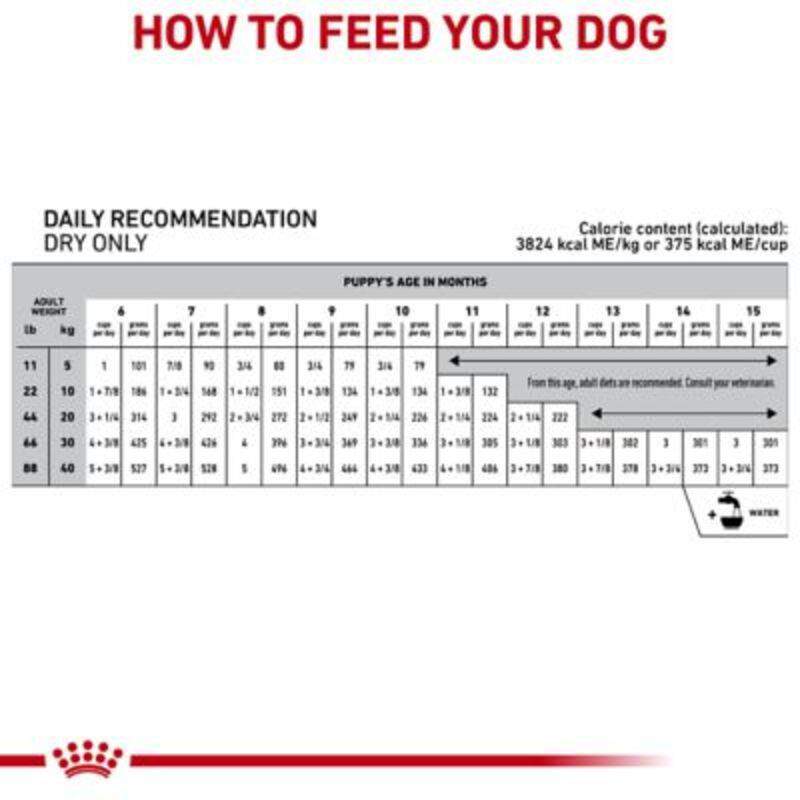 Royal Canin Veterinary Diet Hydrolyzed Protein Puppy Dry Food for Food Sensitivities