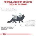 Royal Canin Veterinary Diet Adult Multifunction Satiety + Hydrolyzed Protein Dry Cat Food