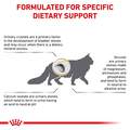 Royal Canin Veterinary Diet Adult Urinary SO Dry Cat Food