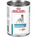 Royal Canin Veterinary Diet Selected Protein Potato & Rabbit Adult Canned Dog Food, 24 x 13.5 oz cans